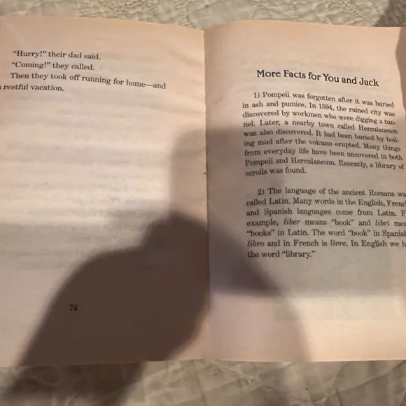 Vacation under the volcano- Magic tree house #13 - Picture 11 of 12